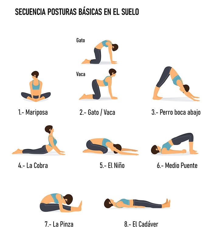 Cómo elegir un estilo de yoga postural (1ª parte)